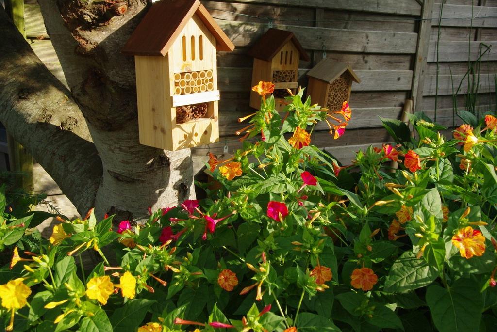 O'Maxethel Bed & Breakfast Soullans Dış mekan fotoğraf